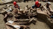 Μεξικό: Πάνω από 100 σκελετοί μαμούθ στο σημείο κατασκευής του νέου αεροδρομίου