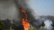 Δασική πυρκαγιά στη Φωκίδα - Πύρινα μέτωπα και σε Δυτική Αχαΐα, Κορινθία