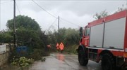 Ζάκυνθος: Αγώνας δρόμου για την ηλεκτροδότηση περιοχών
