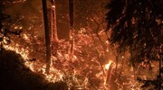 ΗΠΑ: Ανεξέλεγκτες οι πυρκαγιές στη βόρεια Καλιφόρνια, άλλοι τρεις νεκροί