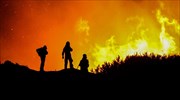 Στο δάσος της Δαδιάς έφτασε η πυρκαγιά που καίει από το πρωί στη Λευκίμμη