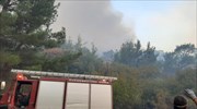 Χωρίς ενεργό μέτωπο αλλά με διάσπαρτες καύσεις η πυρκαγιά στη Λευκίμμη