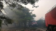 Ανεξέλεγκτη η φωτιά στη Ζάκυνθο