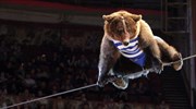 Τον έφαγε αρκούδα σε τσίρκο της Μόσχας