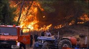 Σταθερή η εικόνα στην Ηλεία