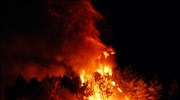 Συνεχίζεται η μάχη με τις φλόγες σε Ηλεία και Εύβοια