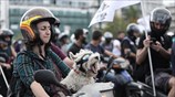 Διαμαρτυρόμενος σκύλος