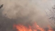 Βολιβία: Σε κατάσταση εθνικής καταστροφής λόγω πυρκαγιών