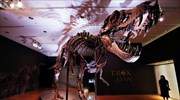 Σκελετός τυραννόσαυρου πωλήθηκε σε δημοπρασία για 31,8 εκ. δολάρια