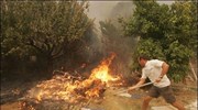Μαίνονται οι πυρκαγιές σε Πελοπόννησο και Εύβοια