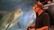 Ρομποτικό δελφίνι για ζωολογικούς κήπους