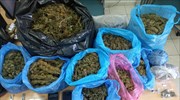 Πύργος: Συνελήφθη άνδρας με περισσότερα από οκτώ κιλά κάνναβης