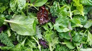 «Πράσινο» από την Ε.Ε. για ενίσχυση παραγωγών λαχανικών με 39,6 εκατ.