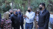 Περιφέρεια Αττικής: Σε φάση παράδοσης έργο 800.000 ευρώ ανάπλασης άλσους Ν. Φιλαδέλφειας