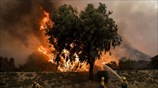 Πυρκαγιά στην Καλιφόρνια