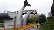 Ουρά φάλαινας έσωσε τρένο