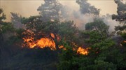 Πυρκαγιά σε δασική έκταση στη Ρόδο