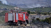 Πυρκαγιά σε δασική έκταση στην Κάρυστο