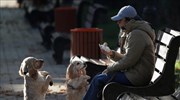 Ανάγκη εφαρμογής των διατάξεων για τα δικαιώματα των ζώων συντροφιάς