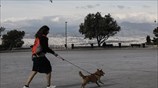 Μετακίνηση 6