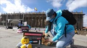 Κολομβία: Διαμαρτυρία με χίλια λούτρινα αρκουδάκια