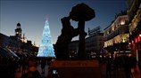 Το έμβλημα και το Χριστουγεννιάτικο Δέντρο
