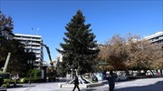 Σε εξέλιξη η τοποθέτηση του Χριστουγεννιάτικου δέντρου στο Σύνταγμα