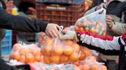 Δήμος Νίκαιας- Ρέντη: Διανομή τροφίμων για ωφελούμενους του προγράμματος ΤΕΒΑ