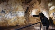 Σπήλαιο Σωβέ: Το doodle της Google για ένα από τα πιο σημαντικά προϊστορικά μνημεία
