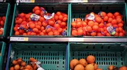 Incofruit Hellas: Ρεκόρ εξαγωγών σε νωπά φρούτα και λαχανικά το 2020