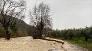 «Βουλιάζουν» στη σφοδρή κακοκαιρία περιοχές της χώρας - Πού σημειώνονται προβλήματα