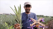 Εξαρτήματα για drones από φύλλα ανανά