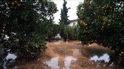 ΕΛΓΑ: Ζημιές σε 23.000 στρέμματα σε Έβρο και Ροδόπη - Πλημμυρισμένα 110.000