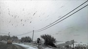 Αποκαθίστανται σταδιακά οι βλάβες ηλεκτροδότησης στην Αν. Θεσσαλονίκη