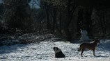 Χιόνια στον Διόνυσο