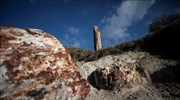 Λέσβος: Το Απολιθωμένο Δάσος συνεχίζει να αποκαλύπτει τα μυστικά του