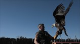 Επίσκεψη στο Αττικό ζωολογικό πάρκο