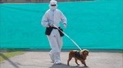 Ινδία: Ο στρατός εκπαιδεύει σκύλους για να... μυρίζουν την Covid-19