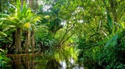 ΜΚΟ Fern: Η ΕΕ δεν πρέπει να «ξεπλύνει» τη μελλοντική καταστροφή του Αμαζονίου