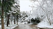 ΓΓΠΠ: Προσοχή και τις επόμενες μέρες για κινδύνους από χιονοπτώσεις, παγετό, ανέμους