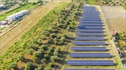 Mytilineos: Mega-deal στις ΑΠΕ για Φ/Β 1,48GW και 25 έργα αποθήκευσης ενέργειας