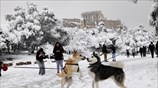 Παιχνίδια στο χιόνι