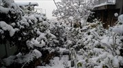Στους -25 βαθμούς Κελσίου η θερμοκρασία στη Δυτική Μακεδονία
