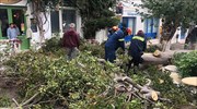 Αποκατάσταση ηλεκτροδότησης: Βοήθεια από κατασκευαστικές εταιρείες ζήτησε η κυβέρνηση