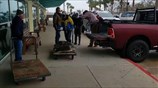 Thousands of cold-stunned turtles rescued in Texas