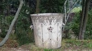 Τατόι : Εντοπίστηκε το «χαμένο» κασπώ των ανακτορικών κήπων