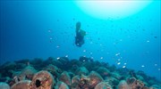 Ban on scuba diving at 97 underwater ship, plane wrecks in Greek waters lifted