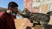 Συρία: Το καταφύγιο με τις 1.000 γάτες