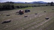 Αγρότες: Προς μη καταβολή τέλους επιτηδεύματος για το 2020