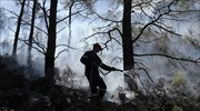 Στις φλόγες δασική έκταση στη Μαγνησία